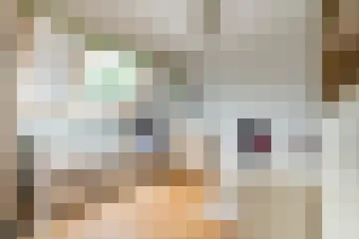 César Franckrode 54 Zoetermeer thumbnail 57