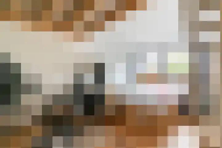 César Franckrode 54 Zoetermeer thumbnail 59