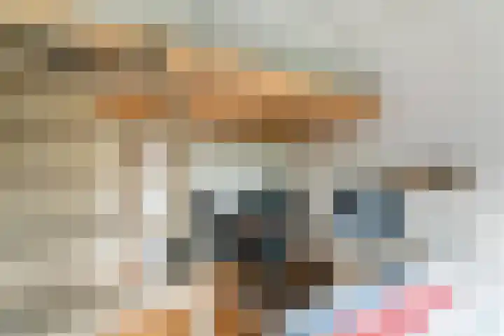 César Franckrode 54 Zoetermeer thumbnail 61