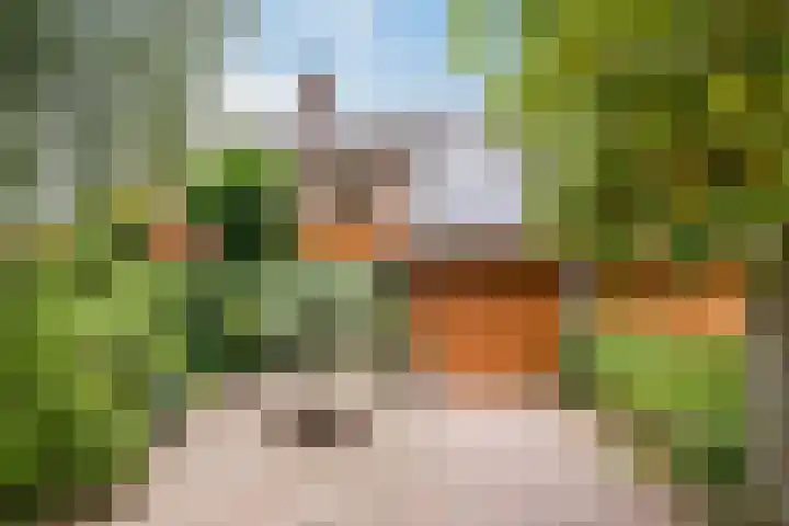 César Franckrode 54 Zoetermeer thumbnail 62