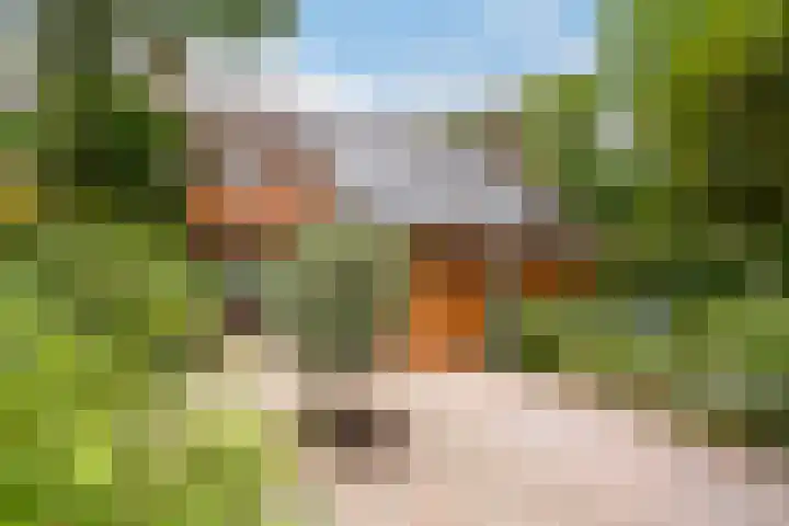 César Franckrode 54 Zoetermeer thumbnail 63