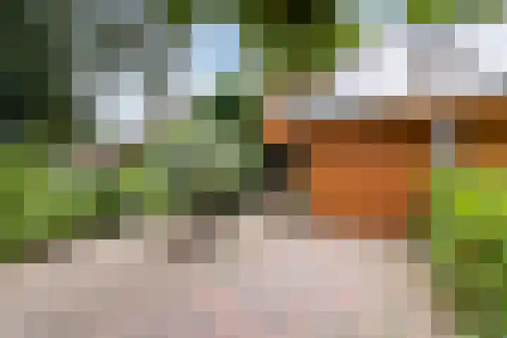 César Franckrode 54 Zoetermeer thumbnail 64