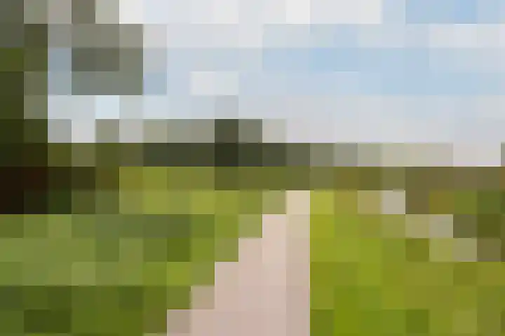 César Franckrode 54 Zoetermeer thumbnail 65