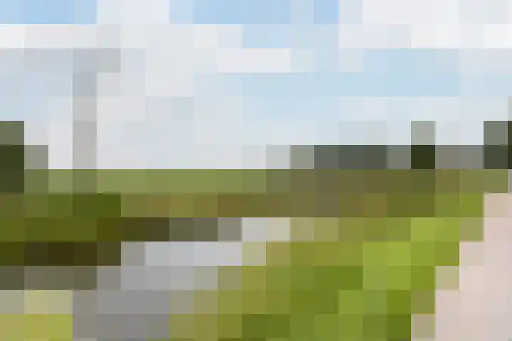 César Franckrode 54 Zoetermeer thumbnail 66