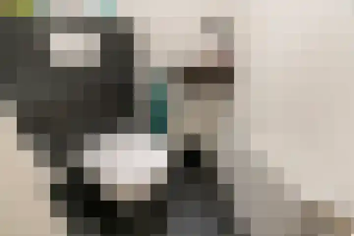 César Franckrode 54 Zoetermeer thumbnail 9