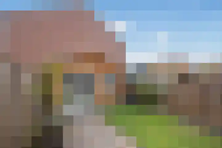 César Franckrode 61 Zoetermeer thumbnail 13