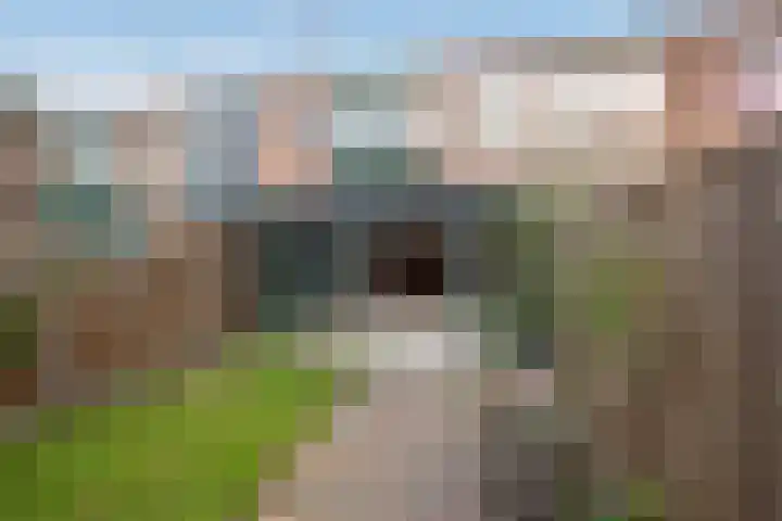 César Franckrode 61 Zoetermeer thumbnail 14