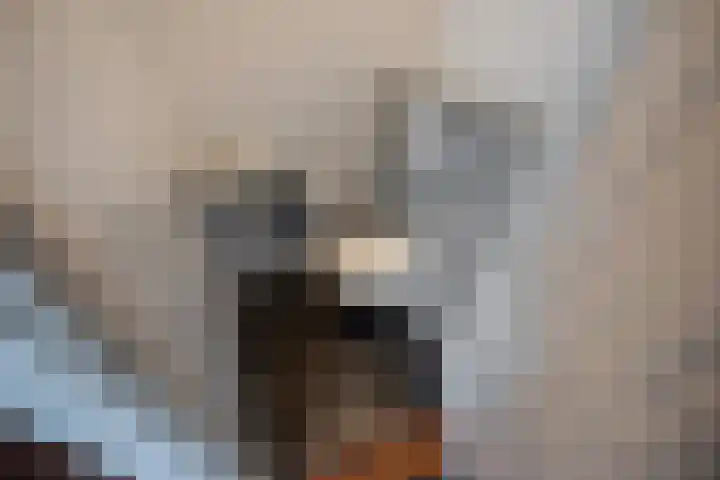 César Franckrode 61 Zoetermeer thumbnail 20