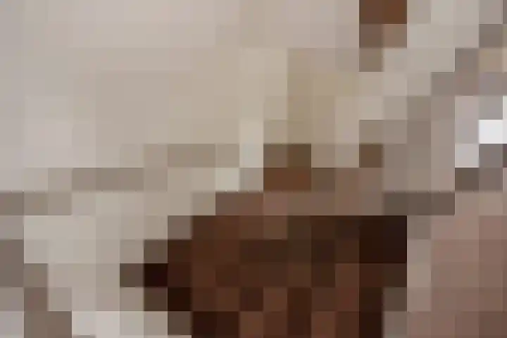 César Franckrode 61 Zoetermeer thumbnail 22