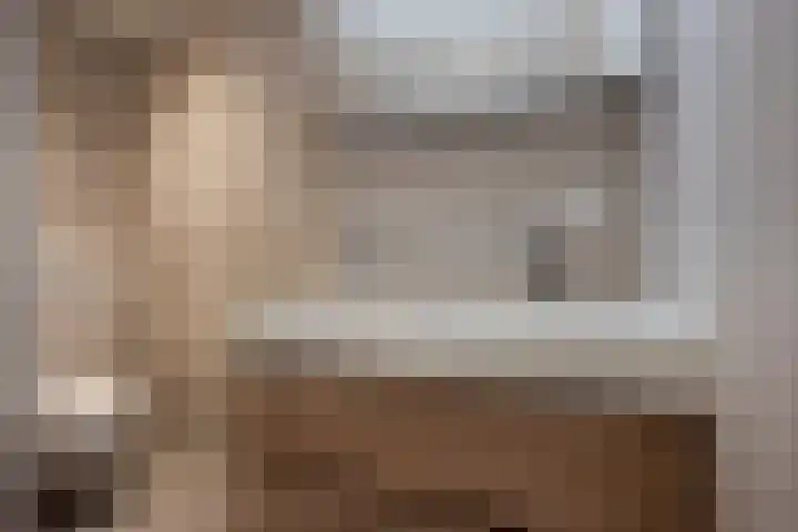 César Franckrode 61 Zoetermeer thumbnail 29