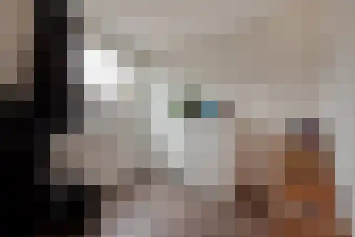 César Franckrode 61 Zoetermeer thumbnail 30