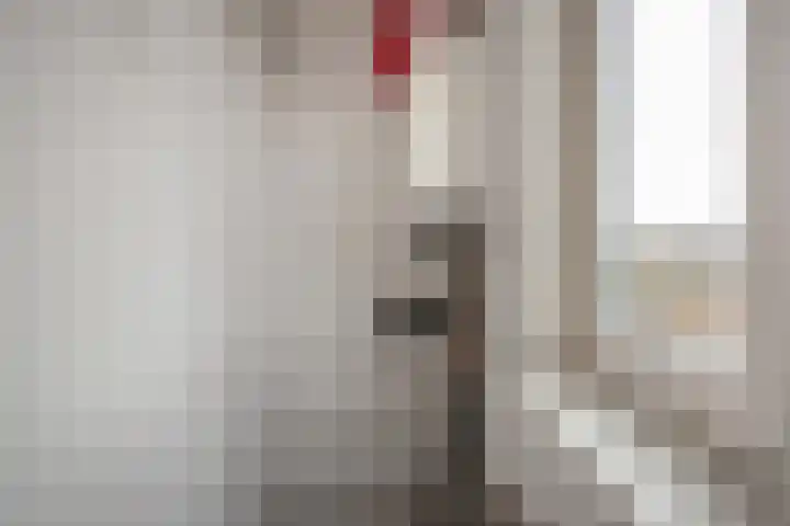 César Franckrode 61 Zoetermeer thumbnail 33