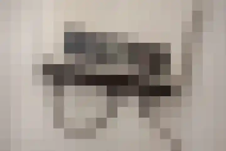 César Franckrode 61 Zoetermeer thumbnail 34