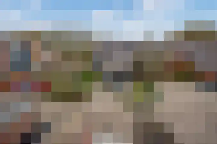 César Franckrode 61 Zoetermeer thumbnail 37