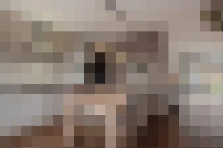 César Franckrode 61 Zoetermeer thumbnail 7