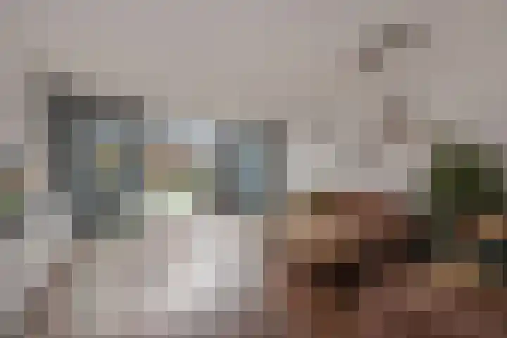 César Franckrode 61 Zoetermeer thumbnail 9