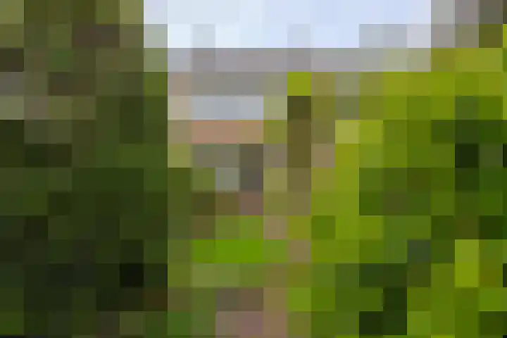 Cesar Franckstraat 2 Castricum thumbnail 20