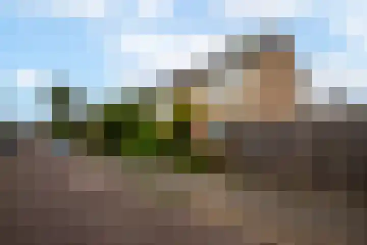 Cesar Franckstraat 2 Castricum thumbnail 33
