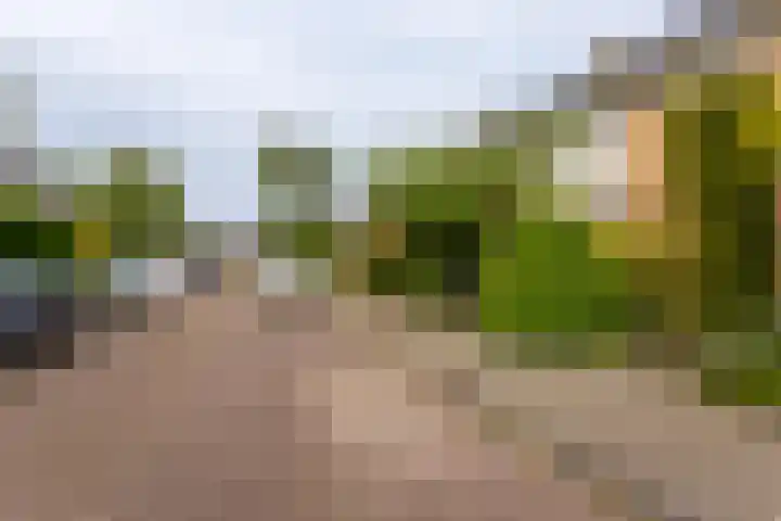 Cesar Franckstraat 2 Castricum thumbnail 35