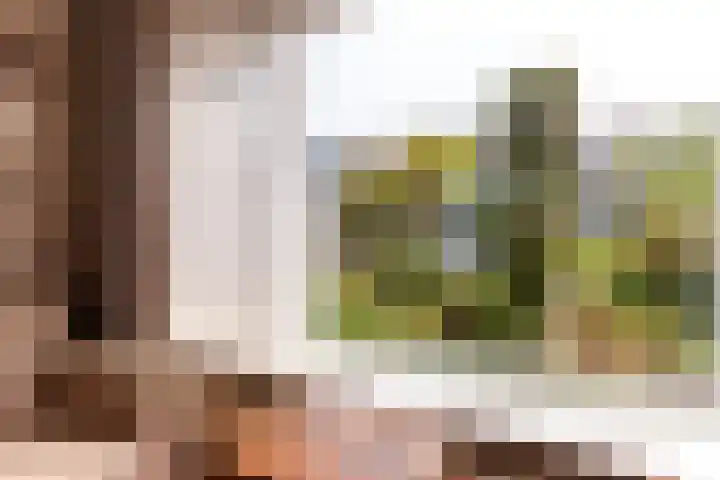 Cesar Franckstraat 2 Castricum thumbnail 4