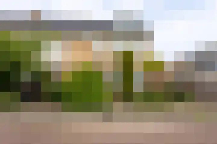 Cesar Franckstraat 2 Castricum thumbnail 56