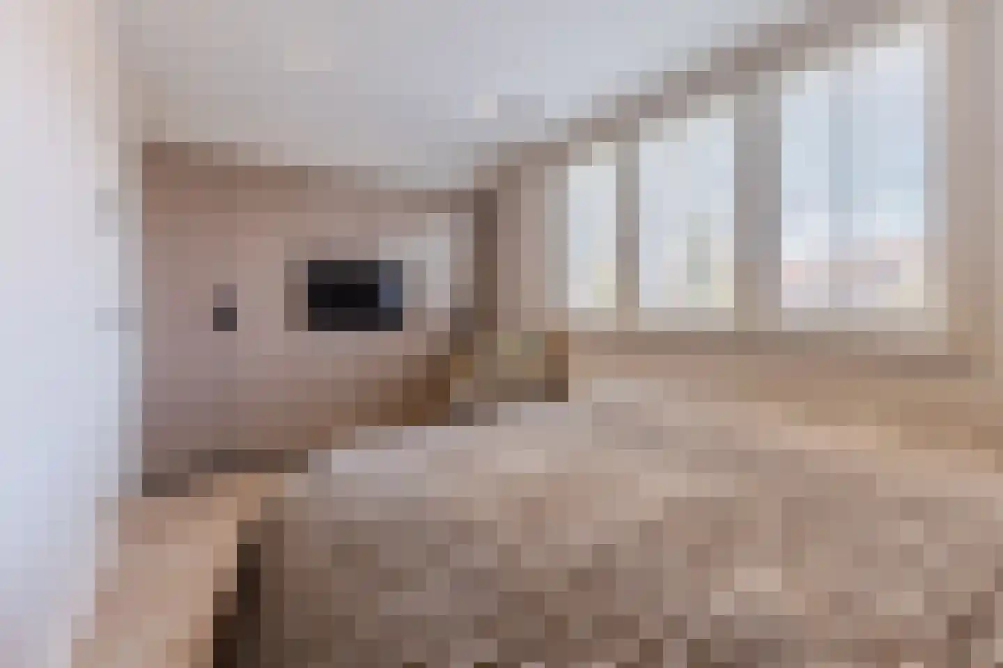 César Franckstraat 21 Eindhoven thumbnail 13