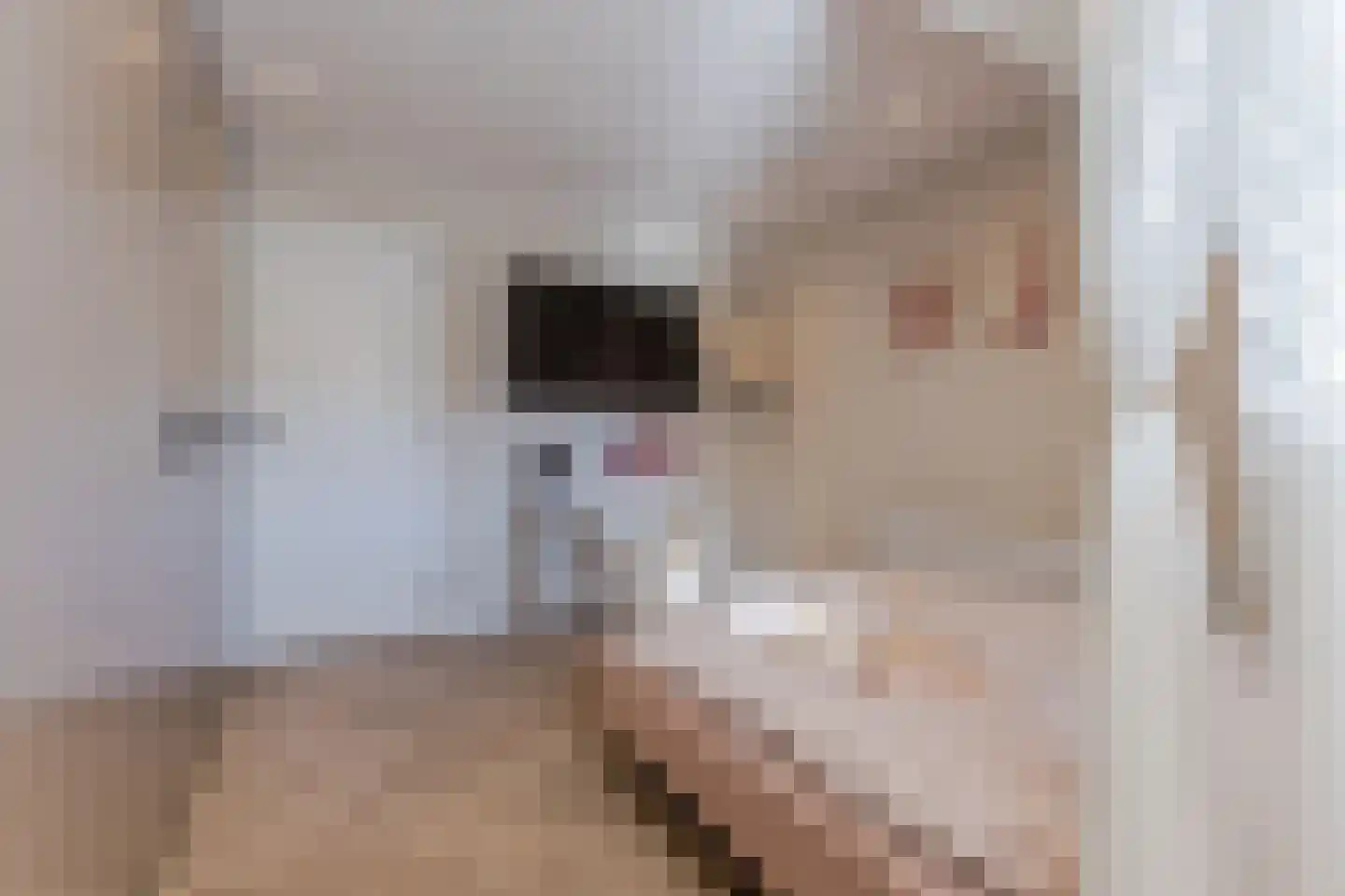 César Franckstraat 21 Eindhoven thumbnail 16