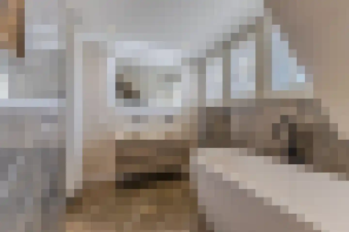 César Franckstraat 21 Eindhoven thumbnail 22
