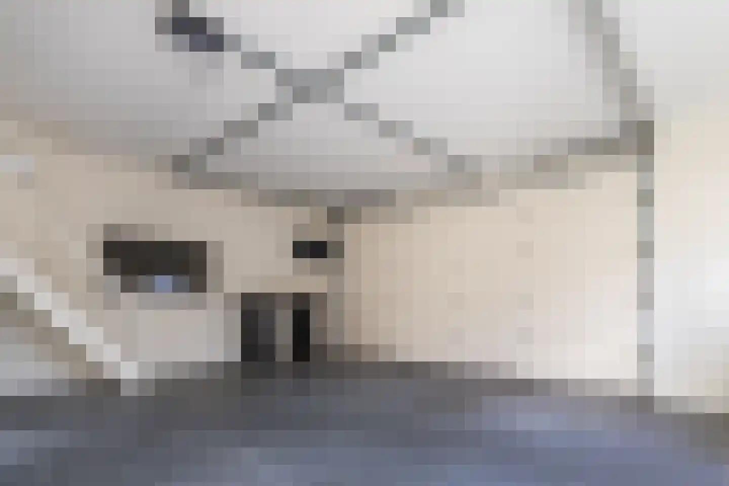 César Franckstraat 21 Eindhoven thumbnail 31
