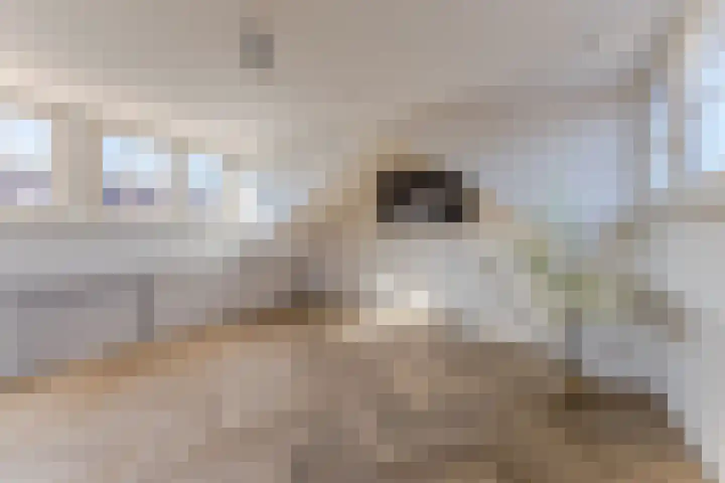 César Franckstraat 21 Eindhoven thumbnail 35