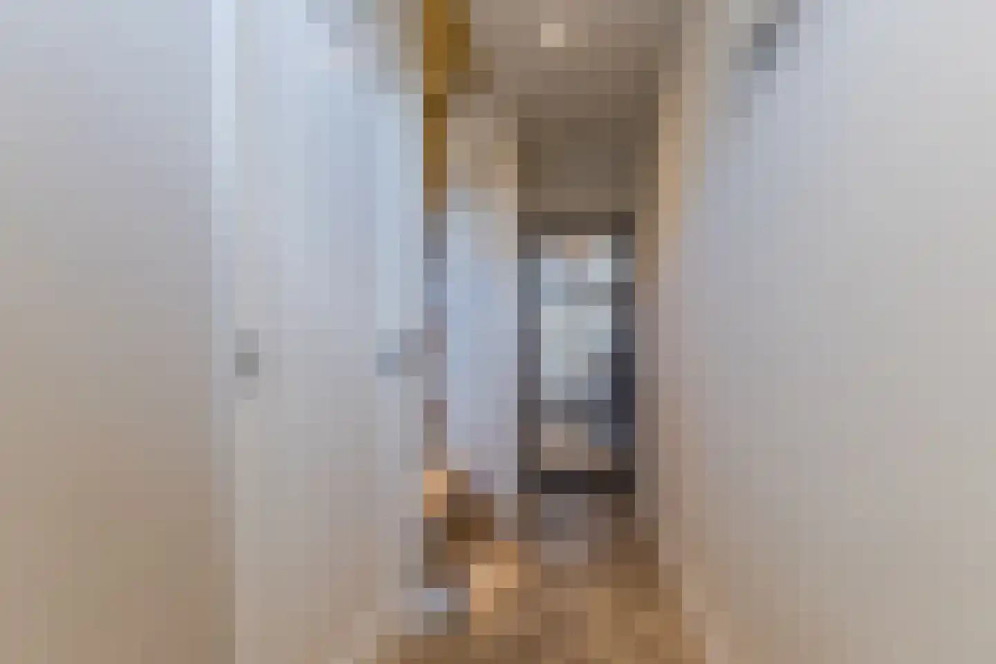 César Franckstraat 21 Eindhoven thumbnail 5