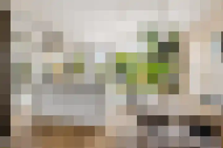 Cesar Franckstraat 3 Castricum thumbnail 10
