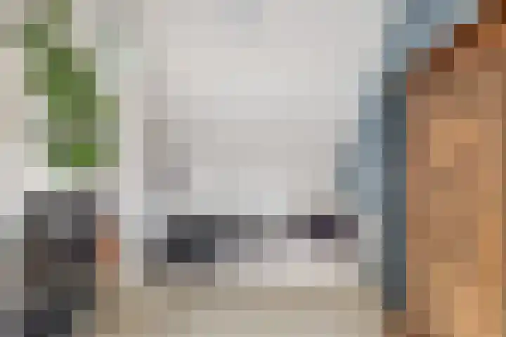 Cesar Franckstraat 3 Castricum thumbnail 30