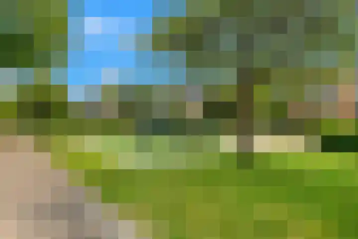 Cesar Franckstraat 3 Castricum thumbnail 34
