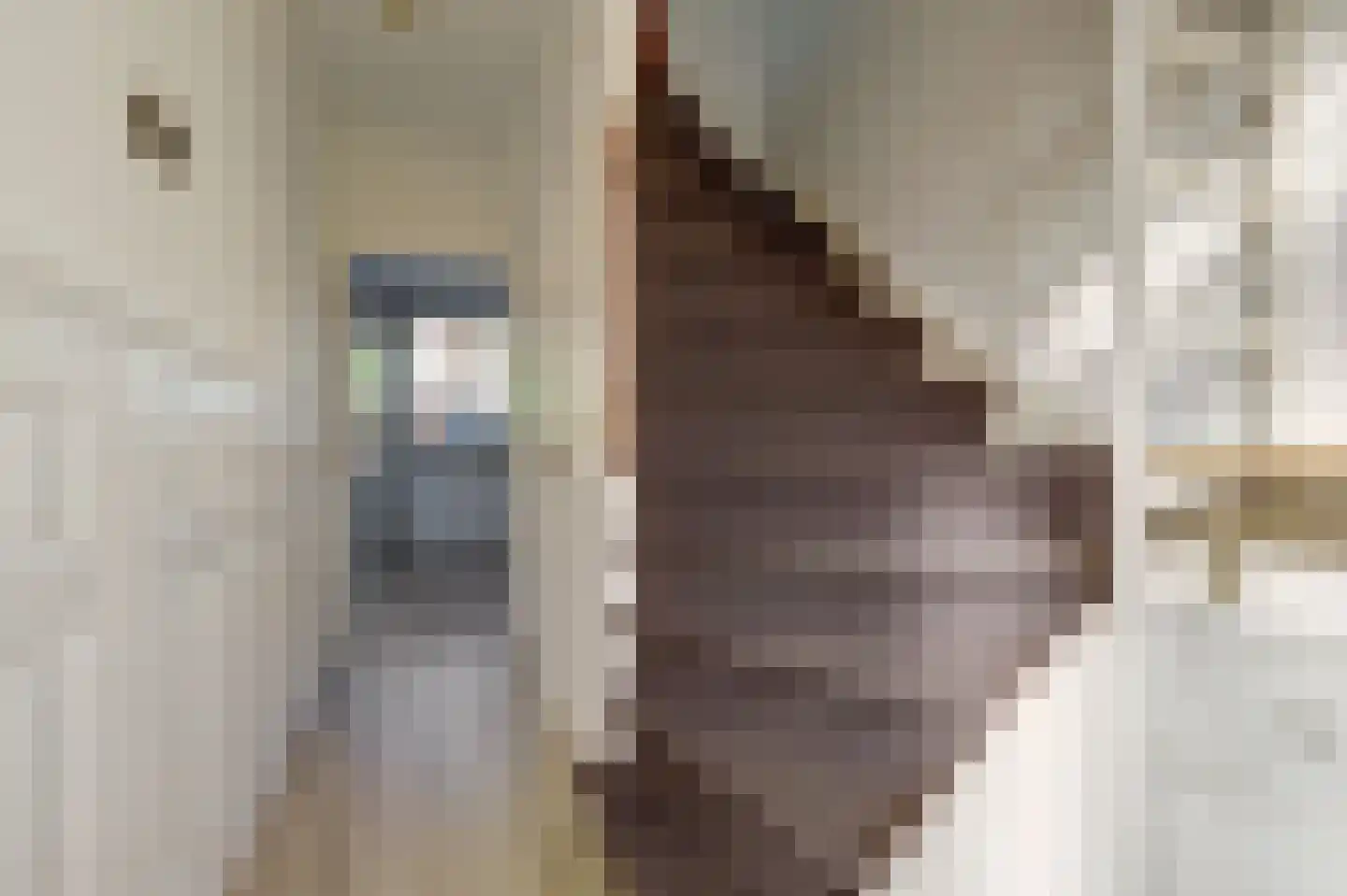 Cesar Franckstraat 3 Culemborg thumbnail 14