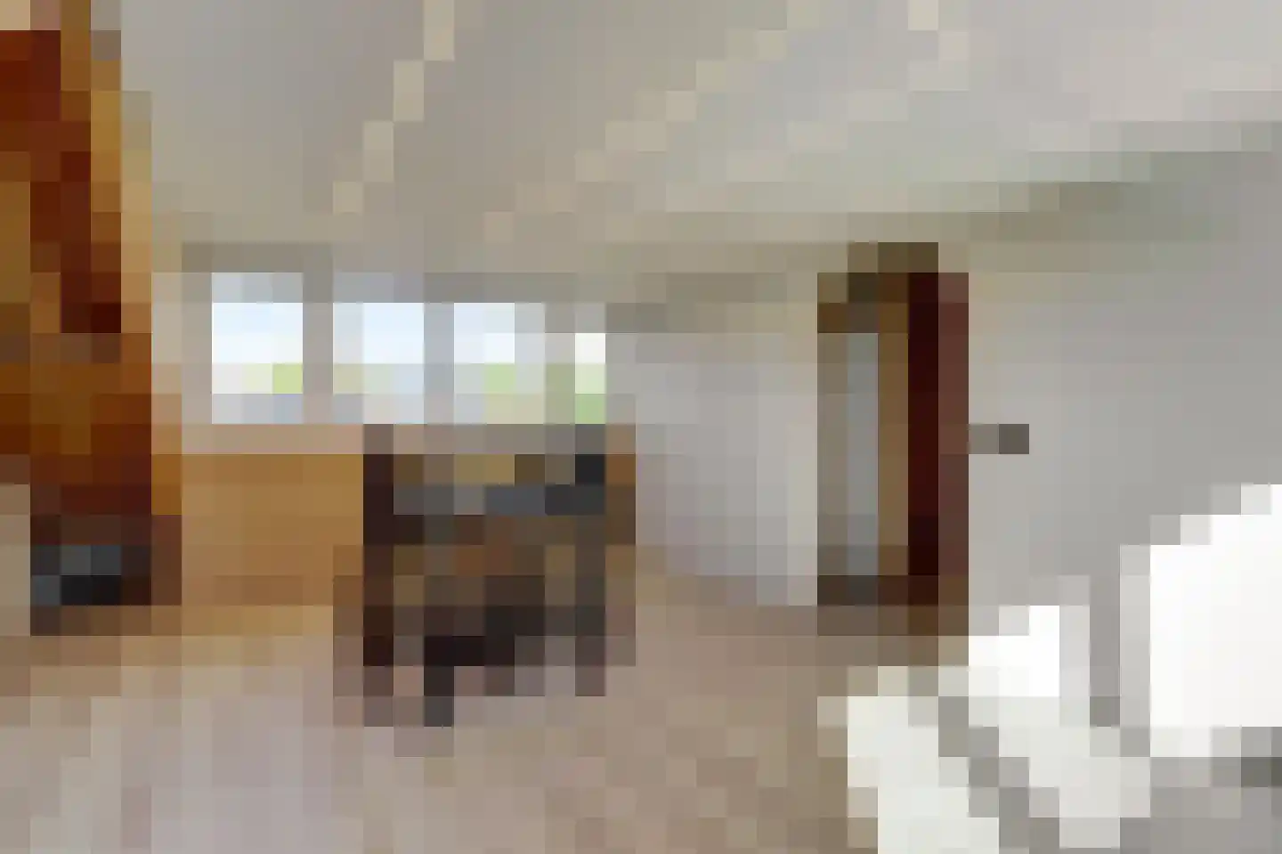 Cesar Franckstraat 3 Culemborg thumbnail 31