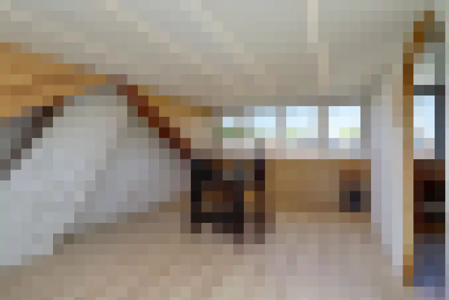 Cesar Franckstraat 3 Culemborg thumbnail 32