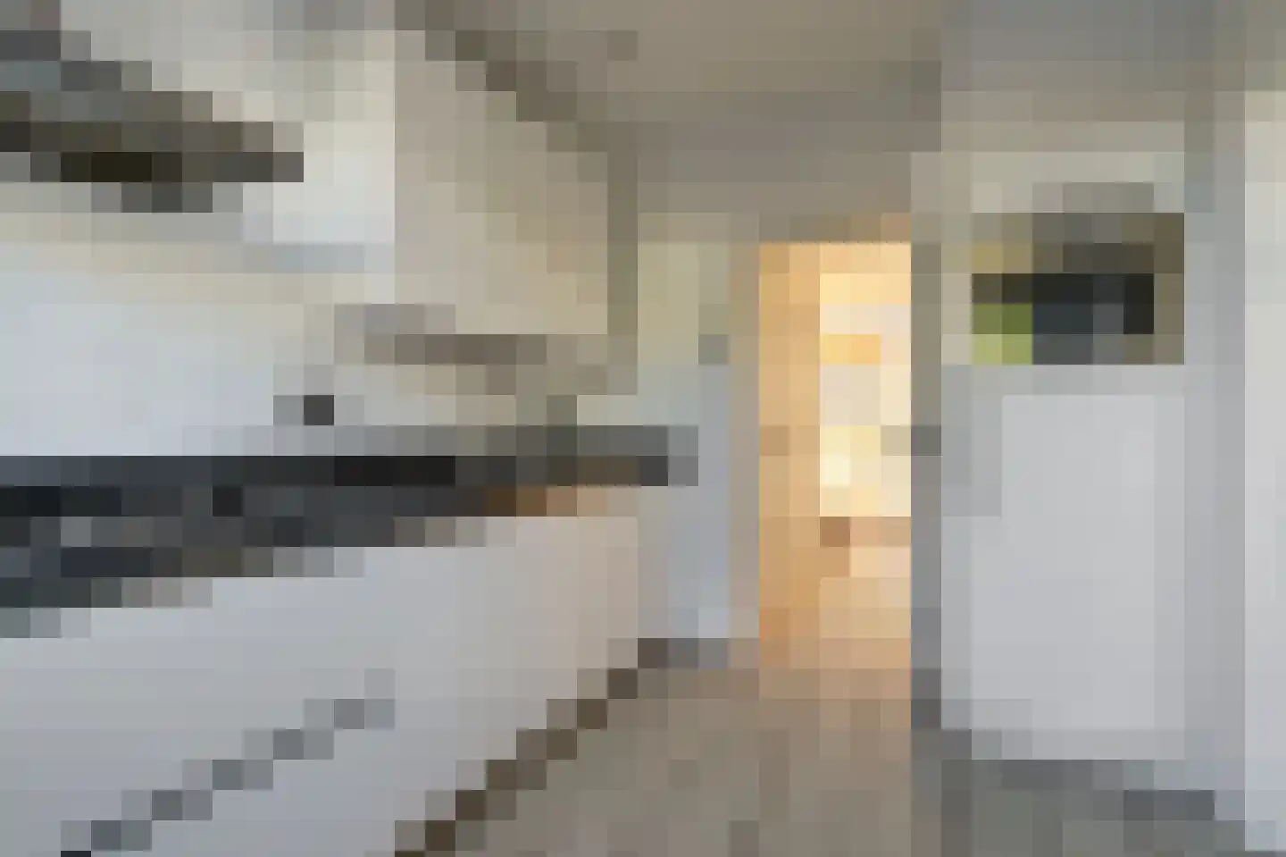 Cesar Franckstraat 3 Culemborg thumbnail 6