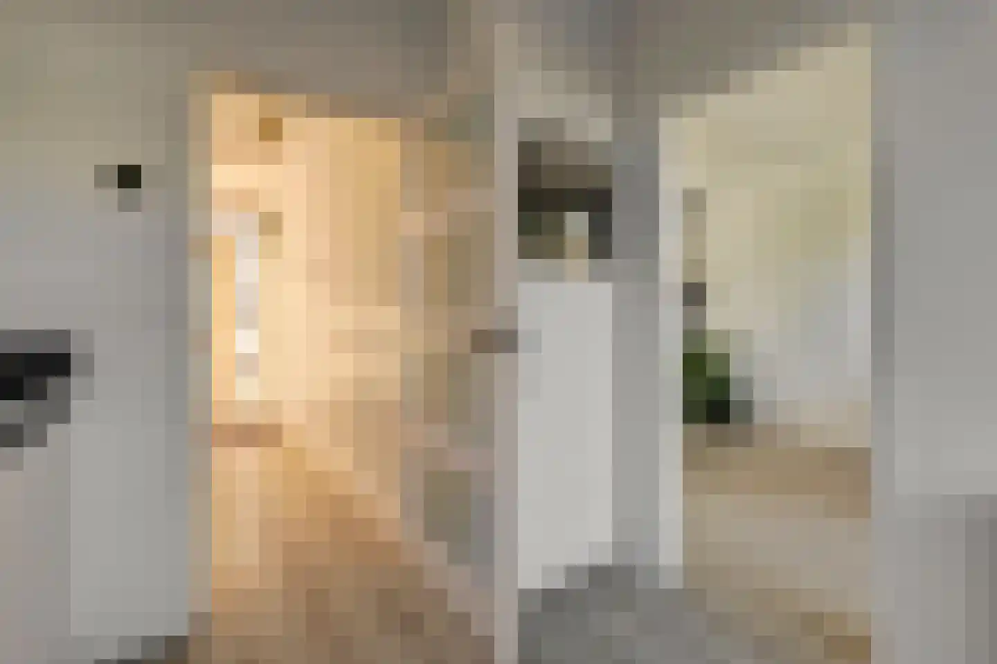 Cesar Franckstraat 3 Culemborg thumbnail 7