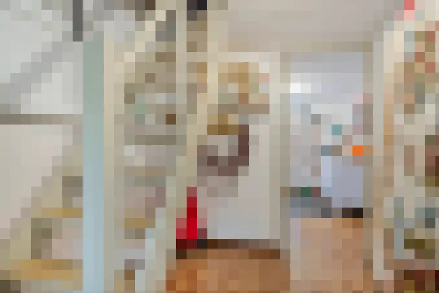 César Franckstraat 3 Maastricht thumbnail 32