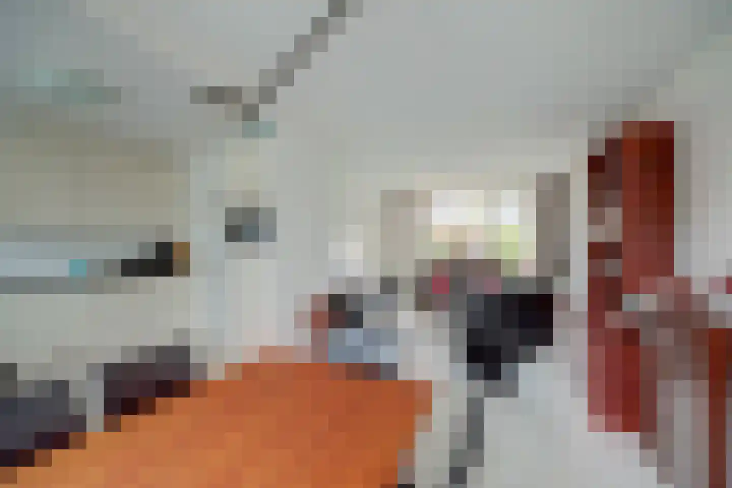 Cesar Franckstraat 5 Culemborg thumbnail 13