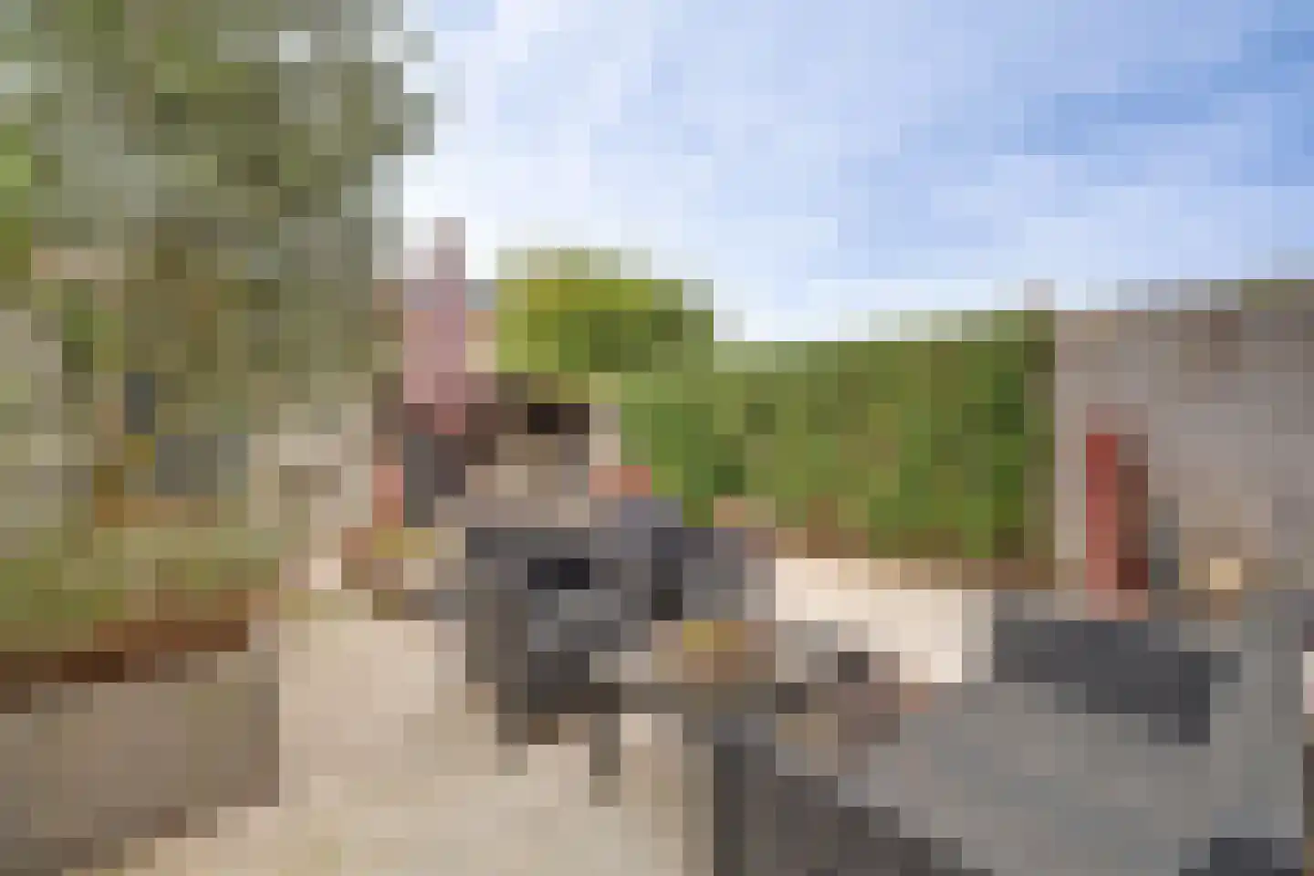 Cesar Franckstraat 5 Culemborg thumbnail 37