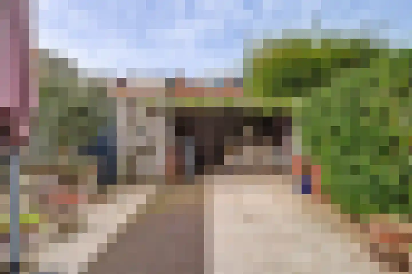 Cesar Franckstraat 5 Culemborg thumbnail 38