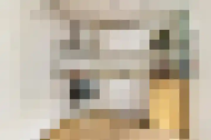 Cesar Franckstraat 6 Castricum thumbnail 12