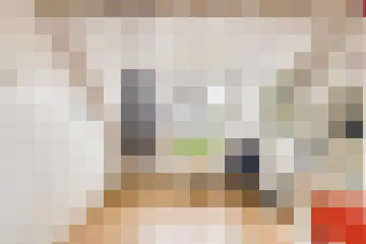 Cesar Franckstraat 6 Castricum thumbnail 31