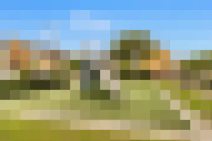 Cesar Franckstraat 6 Castricum thumbnail 36