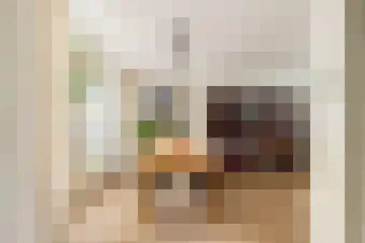 Cesar Franckstraat 6 Castricum thumbnail 6