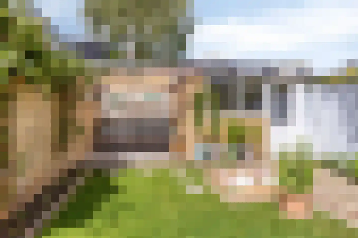 Cesar Franckstraat 8 Castricum thumbnail 26