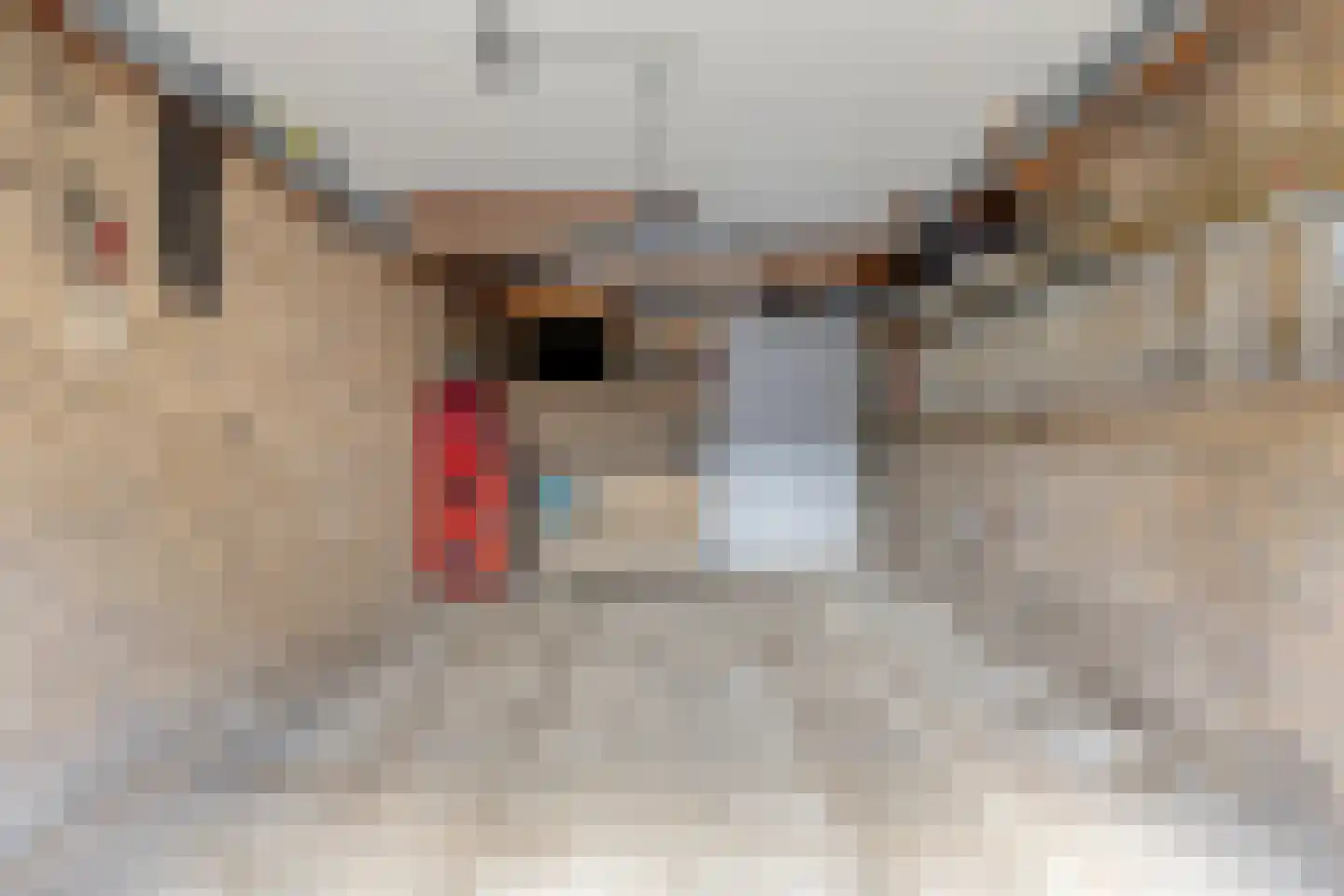Cesar Franckstraat 8 Castricum thumbnail 48