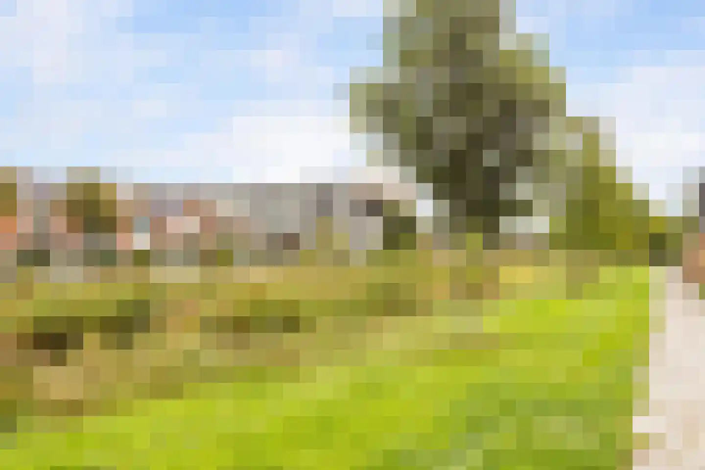 Cesar Franckstraat 8 Castricum thumbnail 51